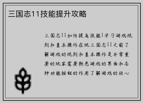 三国志11技能提升攻略